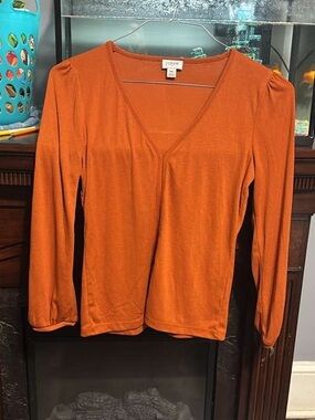 J. Crew Long Sleeve V-Neck Top in Rust